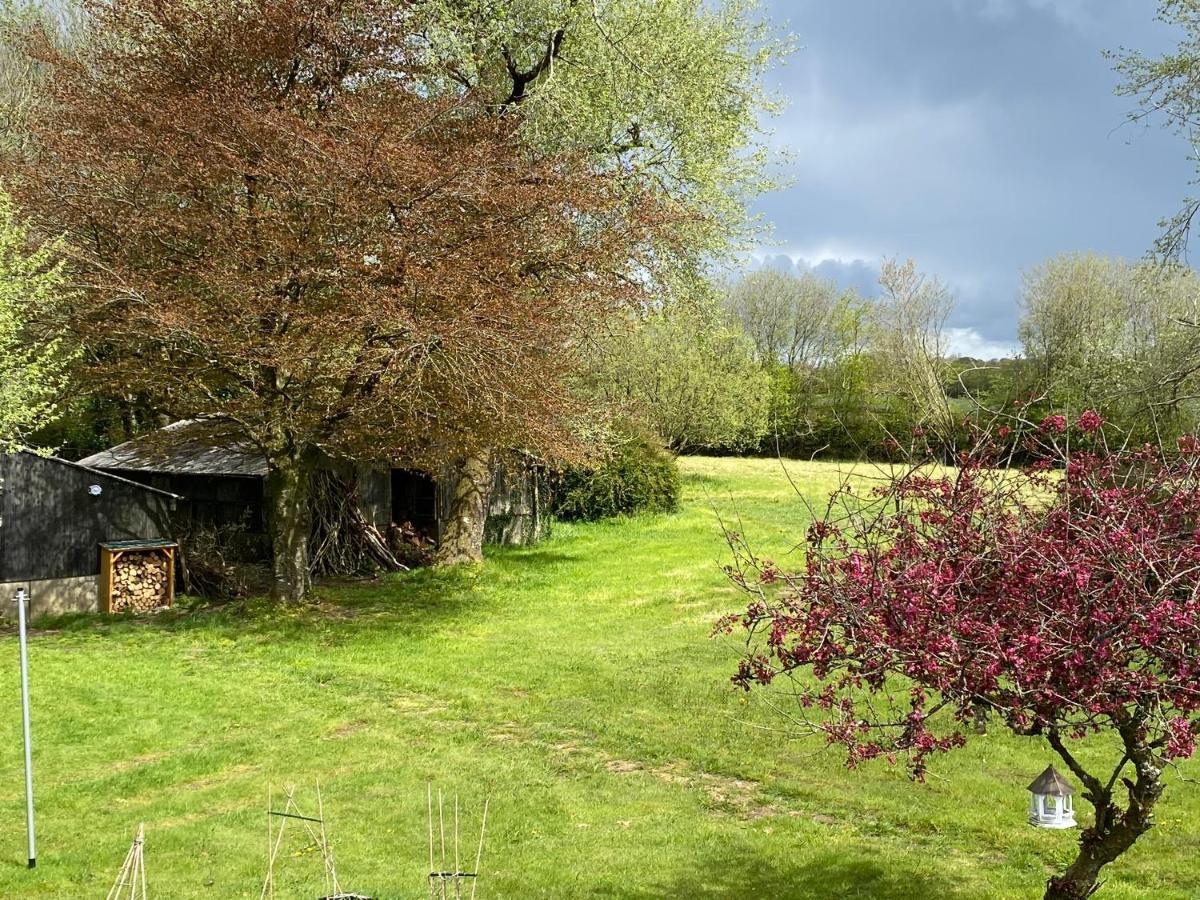 Horseford Lodge B&B 南莫尔顿 外观 照片